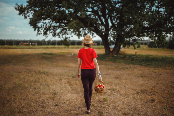 a girl in a red T-shirt, brown jeans, a straw hat carries a basket of red apples on a field covered with dry grass against the background of a large tree and the sky in blur - Фото, изображение