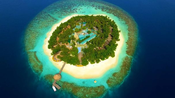 Vista de cima para as Maldivas, palmeiras, areia, praia - Foto, Imagem