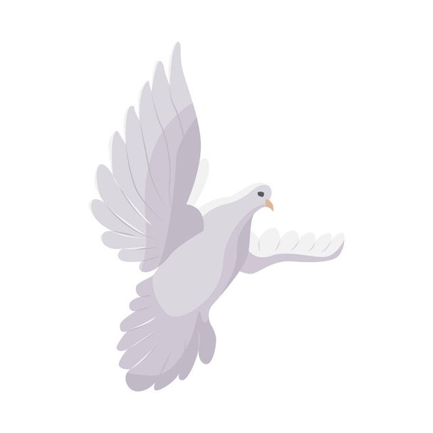 White pigeon dove flying isolated on white background. Peace symbol. - Vector, Image