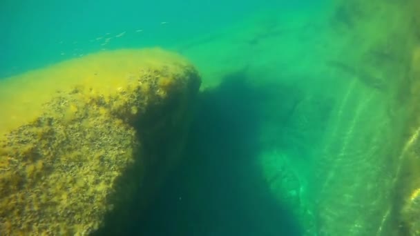 Underwater landscape in the sea. Caspian Sea. Month of June 2021 year. - Footage, Video