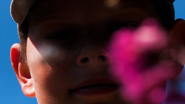 Lähikuva sumea vaaleanpunainen kukka ja hymyilevä poika kasvot sininen taivas tausta. Luova. Kesäpäivä ja poika lapsi katsomassa villin maailman luontoa. - Valokuva, kuva