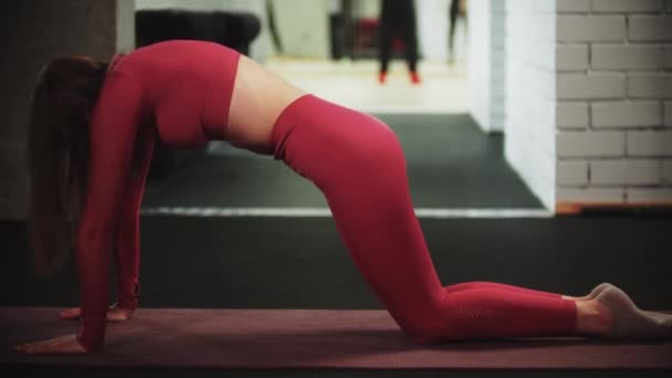 Молода жінка в червоному спортивному костюмі займається спортом у спортзалі стоїть на колінах і згинає спину
 - Кадри, відео