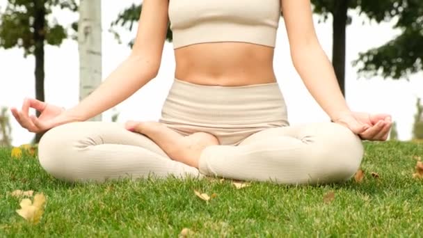Een vrouw doet yoga in het park - Video