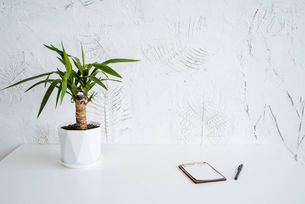A small pot of ficus is on the table. A notebook with blank sheets and a pen lie side by side. Minimalist work desk. Potted houseplant. High quality photo - Фото, изображение