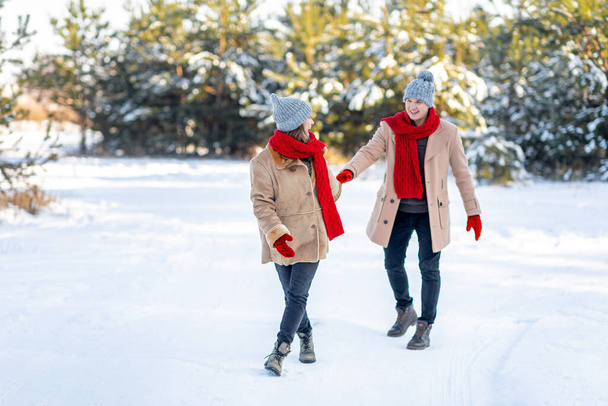 Ζευγάρι που περνούν χιονισμένη μέρα στο πάρκο, πανόραμα με χώρο αντίγραφο - Φωτογραφία, εικόνα