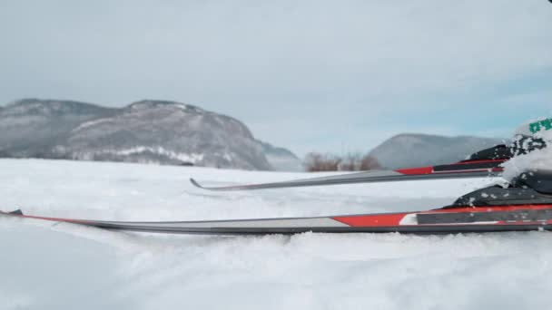 ÁNGULO BAJO: Atleta profesional de esquí nórdico empuja fuera de su esquí y polos. - Imágenes, Vídeo