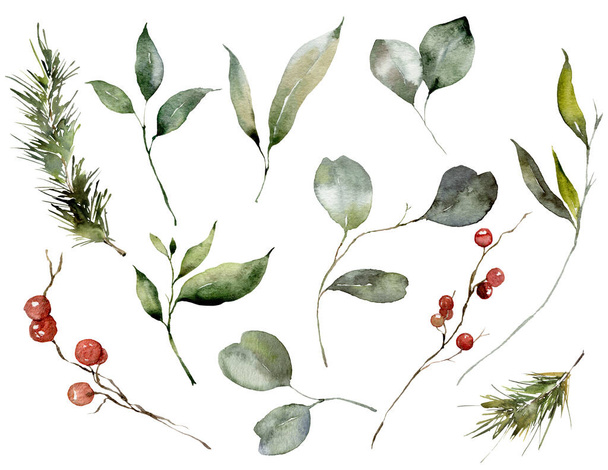Akvarell karácsonyi készlet eukaliptusz levelek, fenyő ágak és vörös bogyók. Kézzel festett téli növény elszigetelt fehér háttérrel. Illusztráció tervezés, nyomtatás, szövet vagy háttér. - Fotó, kép