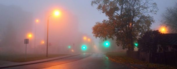 Pusta oświetlona wiejska droga asfaltowa przez drzewa i małe miasteczko we mgle w deszczowy dzień, latarnie uliczne z bliska, czerwone i zielone światło. Wycieczka, transport, komunikacja, jazda - Zdjęcie, obraz