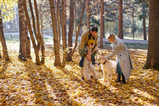 carefree family spend holidays in park, walking, having fun, rejoicing, smiling - 写真・画像