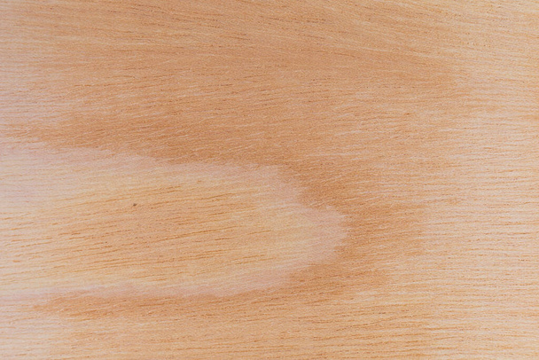 Surface de coupe légèrement rugueuse et texturée d'un arbre africain. Fond en bois ou blanc pour la conception. Une ressource graphique ou sous-couche pour le texte ou les étiquettes. - Photo, image