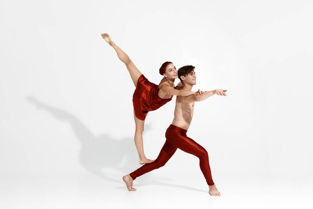 Couple dancing ballet isolated on white background - Valokuva, kuva