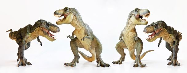 ein Tyrannosaurus-Quartett auf weißem Hintergrund - Foto, Bild