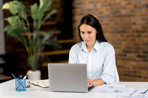 Krásný úspěšný chytrý zaměřený mladý dospělý běloch brunetka obchodní žena, manažer nebo finanční poradce sedí u stolu v kanceláři, na sobě stylové oblečení, pomocí notebooku - Fotografie, Obrázek