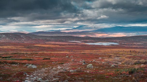 Krajobraz Parku Narodowego Pieljekaise jesienią z jeziorami i górami w Laponii w Szwecji, kolorowe rośliny, dramatyczne światło i chmury na niebie - Zdjęcie, obraz