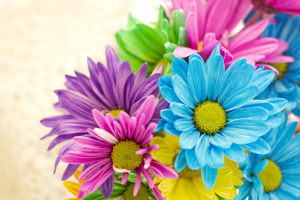 Colorful Spring Flowers - Photo, Image