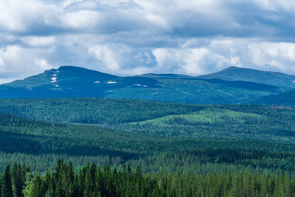 Hermosa vista del paisaje a través de las tierras altas suecas, con grandes bosques de pino y abeto en la ladera de la montaña - Foto, imagen