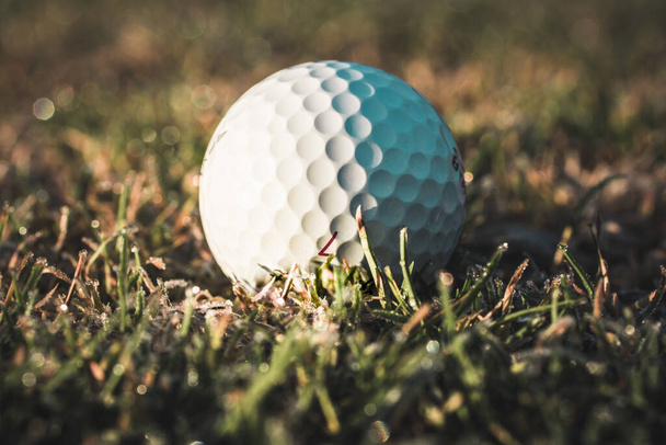 Gros plan d'une balle de golf blanche couchée dans de l'herbe givrée, la lumière du soleil du côté la fait briller - Photo, image