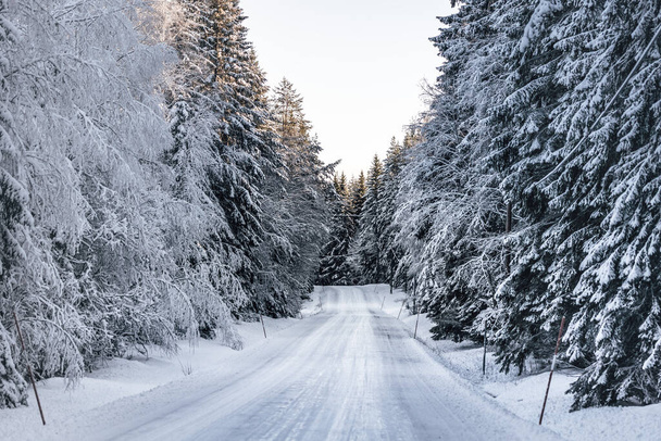 Вигляд слизької зимової дороги на шведській стороні країни, Сан сяє. Сніг і лід звисають з дерев.. - Фото, зображення