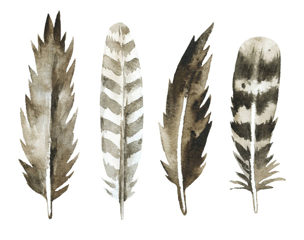 Watercolor bird feather isolated on white background. Design elements for decor, wedding invitations. - Foto, immagini