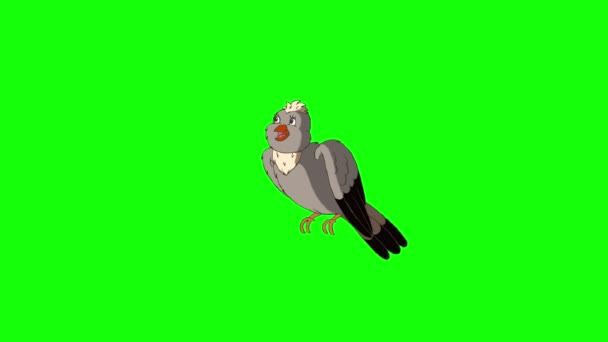 Skylark sedí a zpívá. Ručně vyrobený animovaný smyčkový 4K záznam izolovaný na zelené obrazovce - Záběry, video