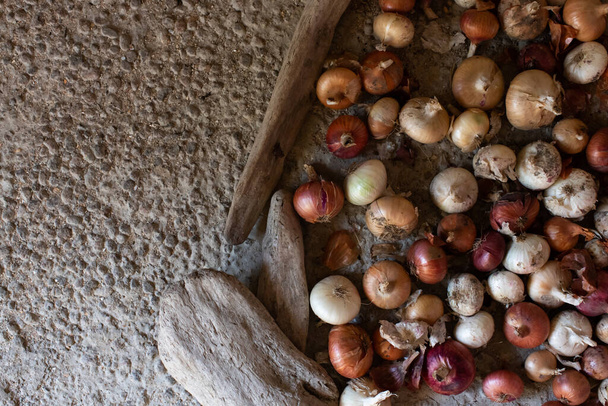 A background with lots of onions separated by wooden boards. Copy space. Onion harvest close-up. - Foto, immagini