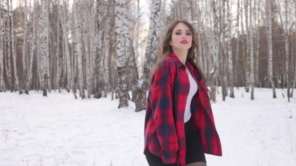 Γυναίκα σε καρό πουκάμισο περπάτημα στο χιονισμένο πάρκο - Πλάνα, βίντεο