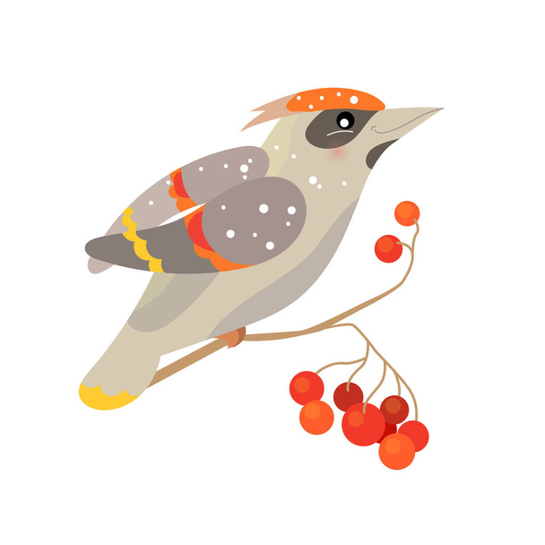 Cute bird waxwing. Christmas festive illustration. Funny character isolated on white background. Winter illustration for children and adults. - Διάνυσμα, εικόνα