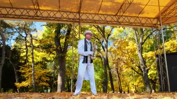 Пожилой художник в белом играет на саксофоне на парковой сцене - Кадры, видео