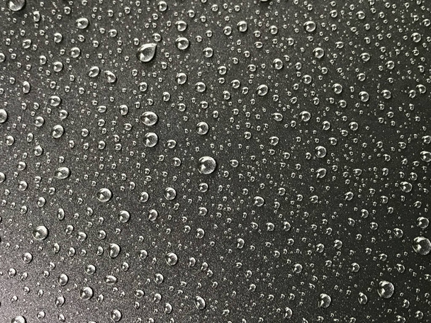 капли воды на черном фоне - Фото, изображение