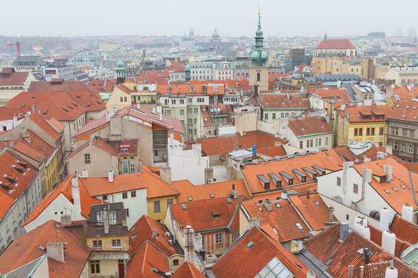 Krajobraz Pragi, Czechy - Zdjęcie, obraz