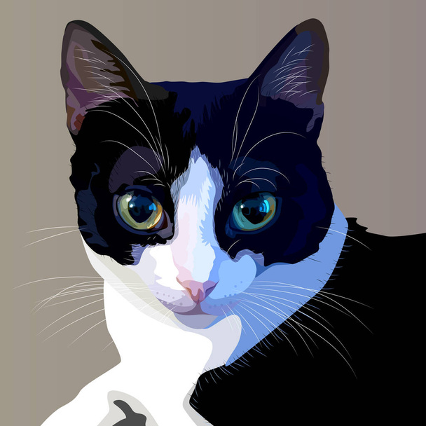 close up cat vector illustration - Vector, Image