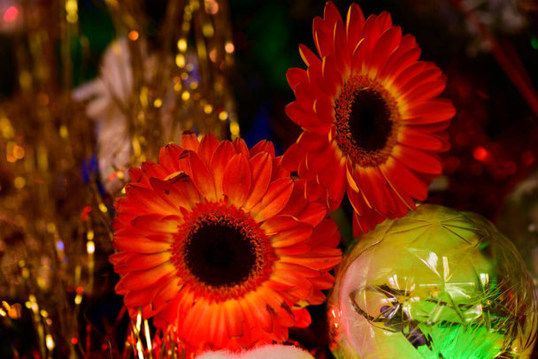 hermoso ramo de flores festivas  - Foto, Imagen