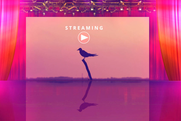 streaming text and play icon with bird in lake on screen at theater stage background, movie or documentaries streaming media concept - Foto, imagen