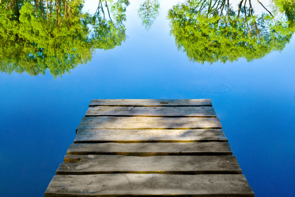 Wooden platform on the Bank of a forest lake. - Photo, Image