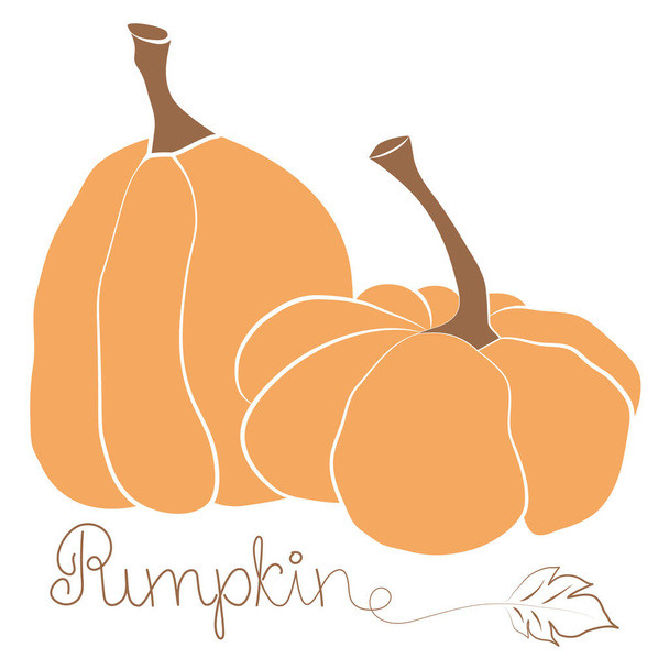 Pompoen pictogram vector illustratie set en met de hand getekend belettering. Herfst Halloween of Thanksgiving pompoen symbool in plat ontwerp, omtrek silhouet geïsoleerd op witte achtergrond - Vector, afbeelding