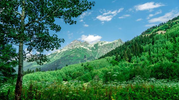 北オセチアの山、青い空と雲と緑の木の美しい夏の風景. - 写真・画像