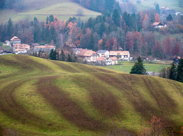 Manure-sprayed meadow around swiss Gruyeres in autumn - Photo, Image