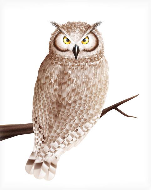Realistic Owl Bird Composition - Vektor, kép