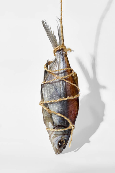 One salt-dried vobla tied with string hanging on white background - Fotó, kép