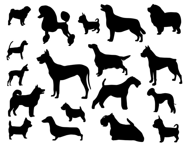Породы собак
 - Вектор,изображение