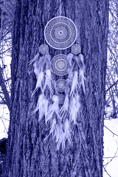 Dream catcher with feathers threads and beads rope hanging. Dreamcatcher handmade in very pei trendy color. background. Color of the year 2022. - Photo, Image