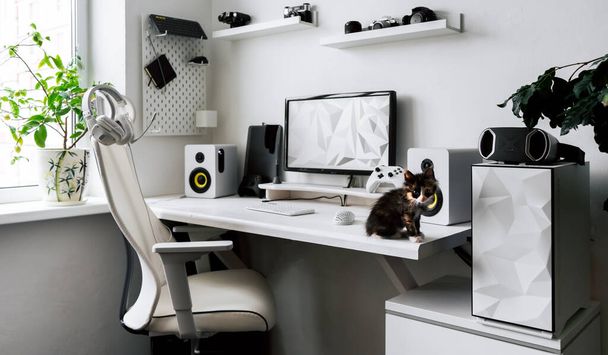 View comfortable home office workplace of creator with little fluffy kitten - Foto, Imagem