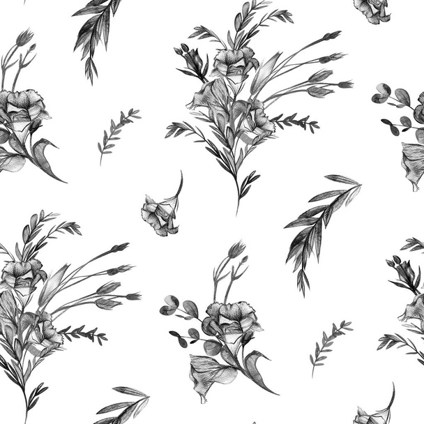 Kasvitieteellinen kuvio eustoma kukkia piirretty yksinkertainen lyijykynä valkoisella pohjalla - Valokuva, kuva