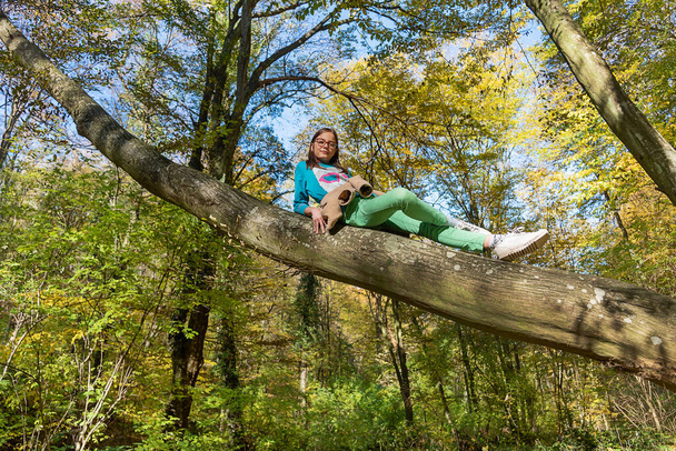 Kleines Mädchen kletterte auf Baum. Mädchen sitzt in einem Baum im Herbstwald - Foto, Bild
