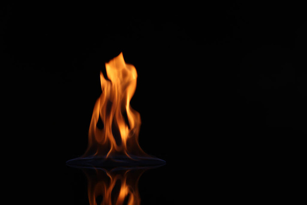 Beautiful view of flaming vodka on black background - Photo, image