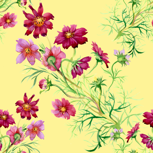 Wild flowers pattern - Foto, Bild