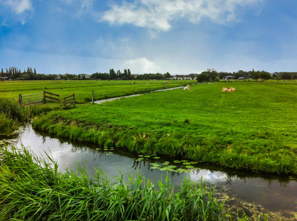 Nieuwerbrug, Netherlands - March 9, 2008 : Dutch "polders", a combination of fields and canals. Canals had as purpose to keep the cows on there land, irrigation and water management of these low lands. - Foto, imagen
