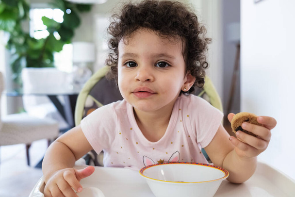 Cute two year old baby girl sitting on a high chair eating a cookie in a home setting - Foto, imagen