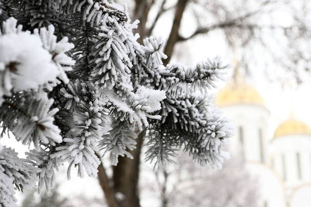 Ramo dell'albero di Natale sullo sfondo dell'icona ortodossa e della croce. La Chiesa ortodossa. L'inverno è Natale. Il concetto di ortodossia. - Foto, immagini