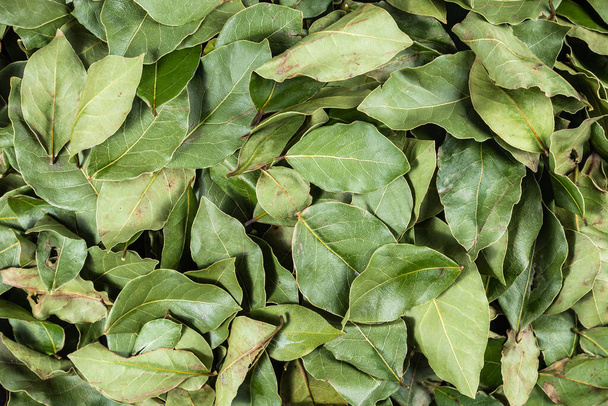 Especias para la cocina - hojas de laurel secas de cerca, vista superior - Foto, imagen